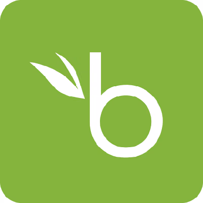 BambooHR